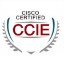CCIE چیست؟